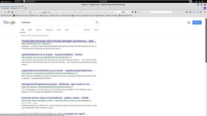 Security Academy Practical Ethical Hacking - Finding Bad Characters