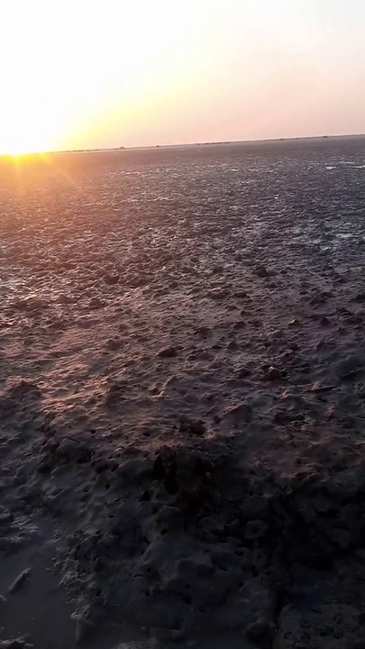 VID_20221209_172720