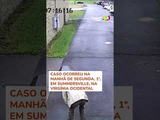 Urso sai de dentro de lixeira e assusta diretor de escola nos EUA