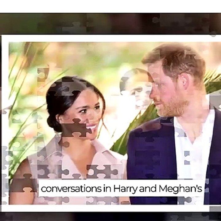 Joe Mocks Meg In JRE Podcast- She Didn't Hiatus Archetype, Spotify Canceled That Unprofitable Deal