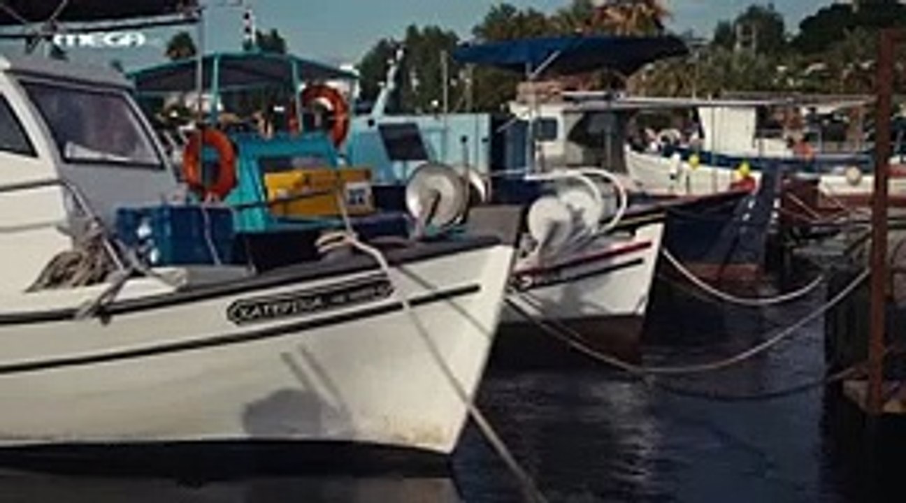 Η Γη της Ελιάς Επεισόδιο 162 part 1/1