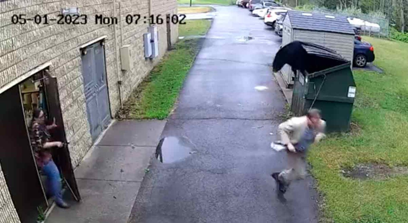 Urso salta de lixeira e assusta diretor de escola