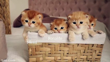 A basket full of Sweetness and Happiness