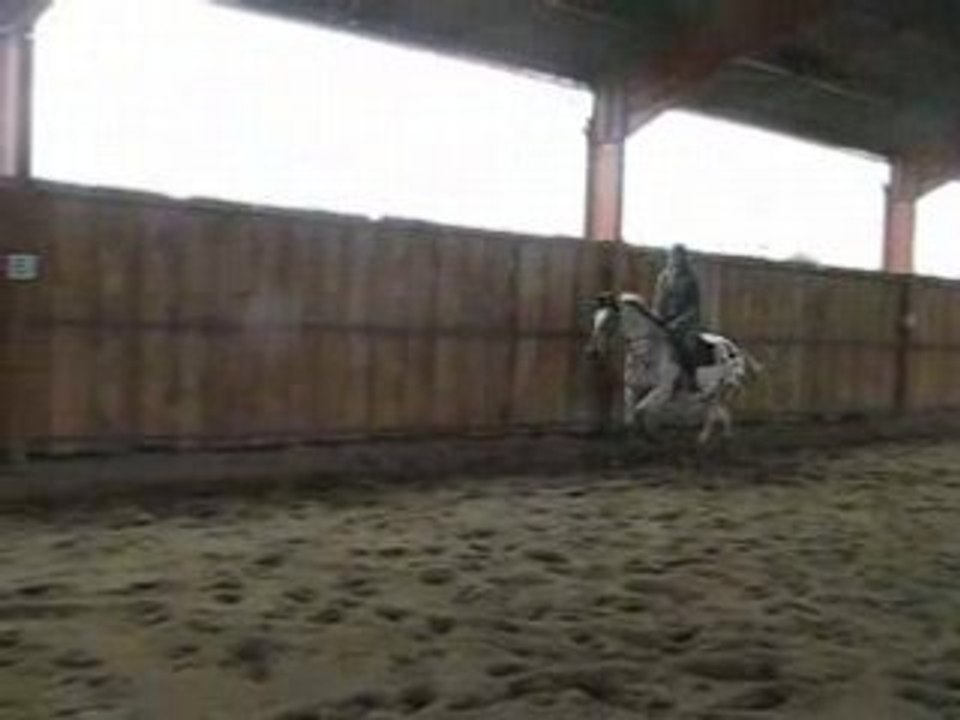 Saut Monky et moi