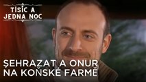 Şehrazat a Onur na koňské farmě | Tisíc a Jedna Noc Epizoda 11