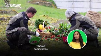 Fatou, la gorila más vieja del mundo ya tiene 66 años