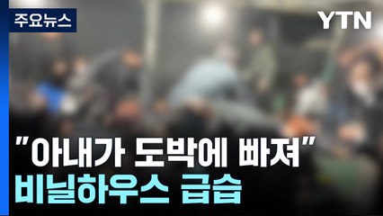 [뉴스라이더] "아내가 도박에 빠져" 비닐하우스 급습...절반이 가정주부? / YTN