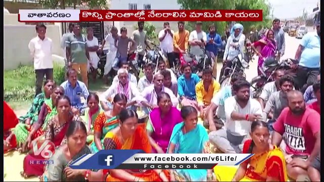 All Over Telangana Farmers Facing Problems For Damaged Seeds _KTR Inspects Sircilla Farmers _V6 News