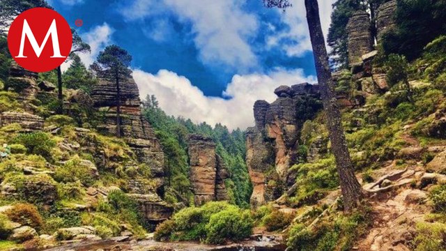 Comuneros de Jilotzingo ganan litigio para cancelar proyecto Bosque Diamante | Milenio Hábitat