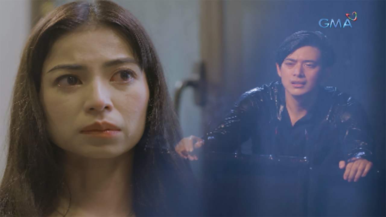 The Seed of Love Full trailer Exclusive) video Dailymotion