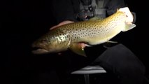 Mousing BIG TROUT at NIGHT!! Crankbaits by Day (Trout Opener)