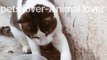 Pets lover-Animal lover cuite funny pets and animal #1
