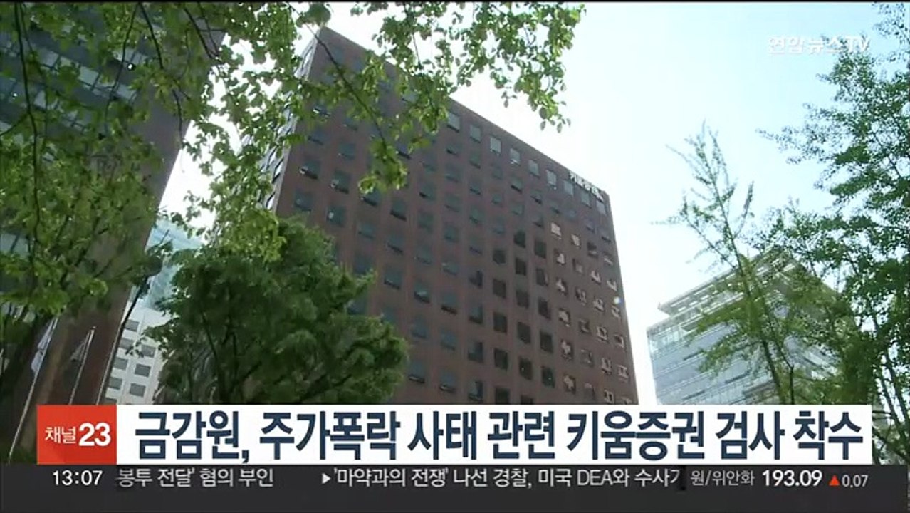 금감원, 주가폭락 사태 관련 키움증권 검사 착수