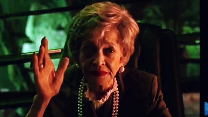 Very funny moments with dog Pets 