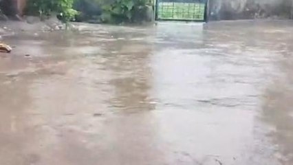 ఆదిలాబాద్: ఇదేం ముసురు వాన.. రైతులను నిండా ముంచేస్తోంది