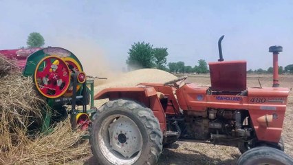 Wheat Cutting Very Easy | Gundam Ki Katai | Harvesting Wheat Crop | Wheat Cutting Season in Punjab