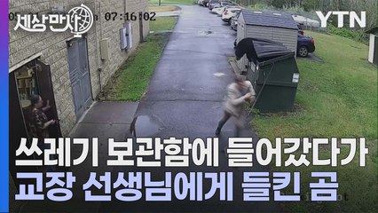 [세상만사] 쓰레기 보관함에 들어가 있다가 교장 선생님과 마주친 흑곰 / YTN