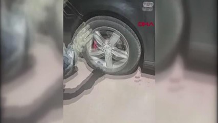 Başakşehir'de Otomobilin Motor Bölümüne Giren Yılan Çıkarıldı