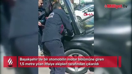 Başakşehir'de korku dolu anlar! Otomobilen 1,5 metre yılanı itfaiye çıkardı