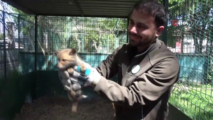 Yol yapım çalışması sırasında bulundu