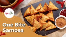 One Bite Samosa | Special Chaat Masala Recipe | Simple & Easy Recipe