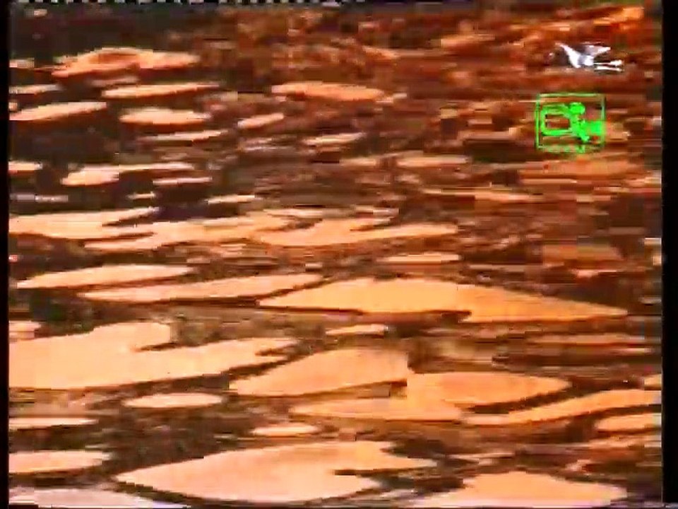Dura eatha jeevithe by Lakshman Wijesekera  from Torana Archives