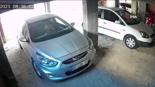 Yük taşıma paletlerinin arabasına koyup kaçtı... O anlar kamerada