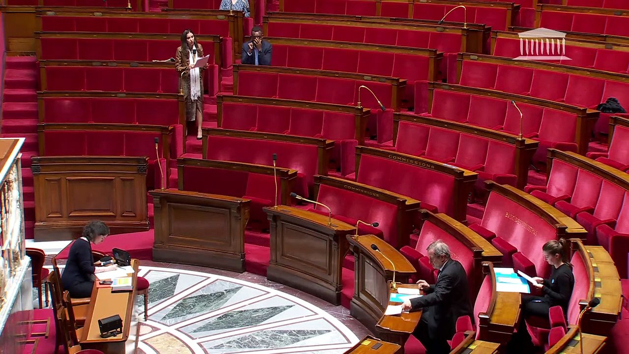 Karine Lebon interpelle Jean-François Carenco sur l’errance animale et la décision d'Air France