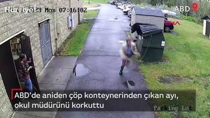 ABD'de aniden çöp konteynerinden çıkan ayı, okul müdürünü korkuttu