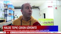 Halde tepki çeken görüntüler, mide bulandırdı!