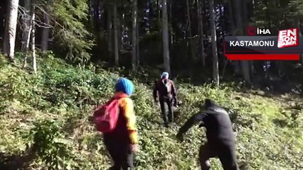 Kastamonu'da Milli Park'da gizemli kayboluş