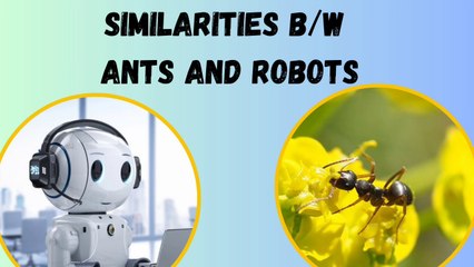 The Similarities Between Ants and Robots