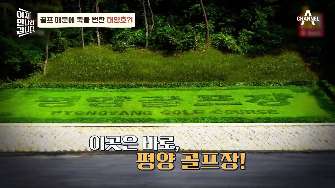 [#이만갑모아보기] 태영호가 '이것' 때문에 죽을 뻔했다?! 영원한 비밀은 없는 태영...