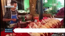 Harga Daging Ayam Masih Tinggi di Pasaran