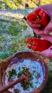 Giant Combo steak, fries, tortilla #shorts #menwiththepot #asmr #food #cooking #nature #outdoors