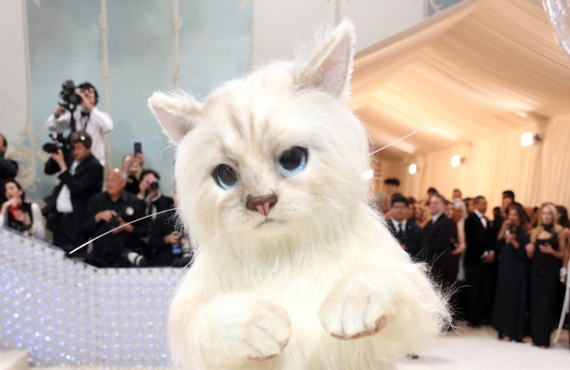 Jared Leto: Er ging zur Met Gala als Lagerfelds Katze