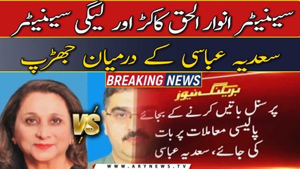 سینیٹر انوار الحق کاکڑ اور لیگی سینیٹرسعدیہ عباسی کے درمیان جھڑپ