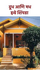 दूध आणि मध इथे शिंपडा #shorts SG5