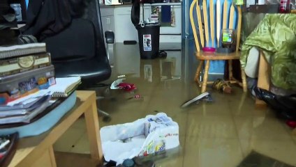 ONU alerta para ocorrência do ‘El Niño’ ainda este ano