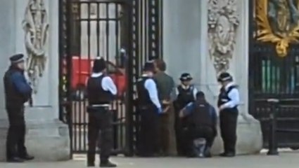 Moment man arrested outside Buckingham Palace ‘after gun cartridges thrown into grounds’