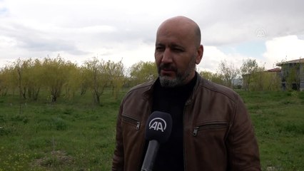 Van'daki sazlık yangınları üreme dönemindeki kuşların yaşam alanlarını daralttı