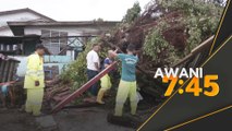 50 rumah terjejas dan rosak, pokok tumbang, atap terbang