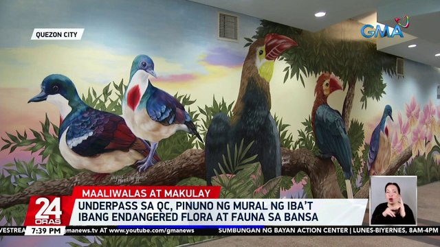 Underpass sa QC, pinuno ng mural ng iba’t ibang endangered flora at fauna sa bansa | 24 Oras