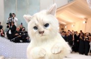 ジャレッド・レト、今年のメットガラで故カール・ラガーフェルドの愛猫に扮する！