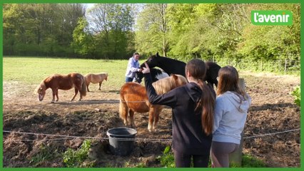 À Hastière, la Cabane aux poneys doit quitter ses installations