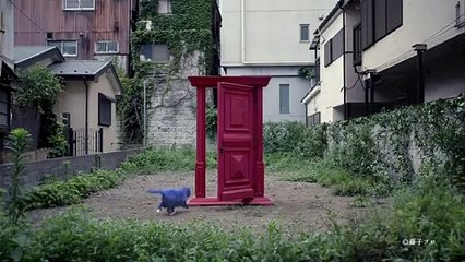 【HD】 ビートたけし 松嶋菜々子 トヨタ ReBORN「気がついたこと」篇 CM(30秒)