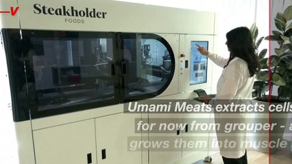 3D Printers Will Serve Us Fish For Dinner