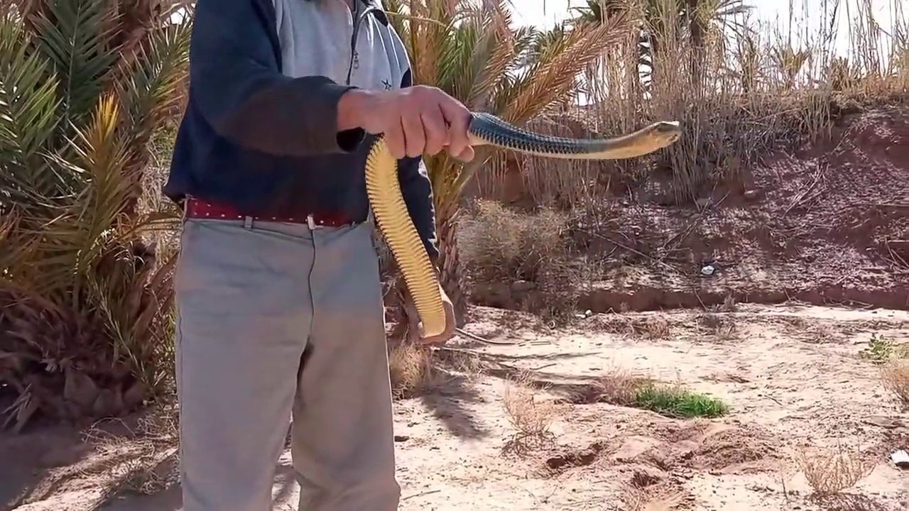 رحله الصيد الجديده مع العيساوي ابراهيم
