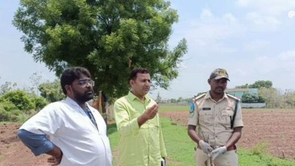 జనగామ: 20 నెమళ్లు మృత్యువాత.. పరిశీలించిన ఫారెస్ట్ అధికారులు..!