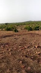 No action is being taken on information, encroachment is being done for farming and mining